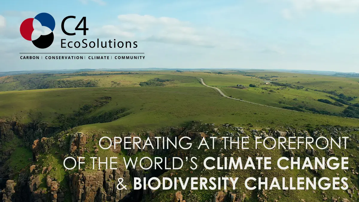 About Us | C4 EcoSolutions